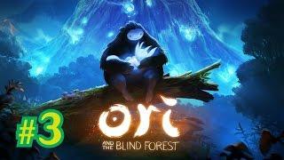 Ori and the Blind Forest - (Stage 3 - Hollow Grove) One Life - All the secrets