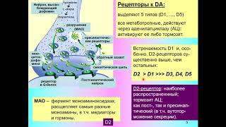 Дубынин В. А. - Химия мозга - Дофамин