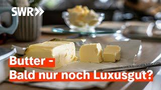 Zu wenig Fett in der Milch – Darum ist Butter so teuer | Zur Sache! Rheinland-Pfalz