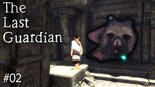 A Breakthrough... Into New Areas | The Last Guardian #02