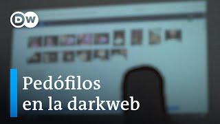 ¿Cómo cazar a pedófilos en la darkweb?