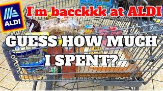 ALDI HAUL | Broke Mama On A Budget | August 23, 2021