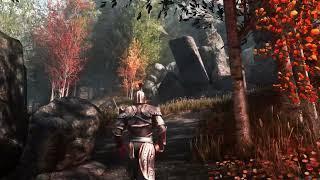 Riften Forest - Veydogolt Trees - Skyrim Special Edition