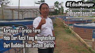 Hasil Panen Ikan Melimpah Mengenal Budidaya Ikan Dengan Sistem Bioflok  Di Kertajaya/Gracia Farm.