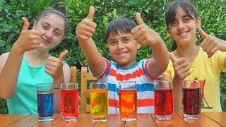 Easy Experiments for Kids and Learn Colors from Guka Family Show