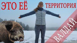 ЭТО ЕЁ ТЕРРИТОРИЯ СЧАСТЬЯ!!! Валдай, ОХОТА, РЫБАЛКА. Приют охотника