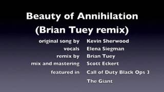 Beauty of Annihilation REMIX COD BO III