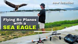 Epic Rc plane flying at Soldiers point | Stunning beach views & rare Sea Eagle Encounter