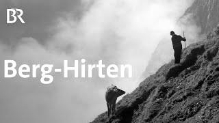 Das harte Leben auf der Alp: Hirten in den Allgäuer Bergen | Zwischen Spessart und Karwendel | BR