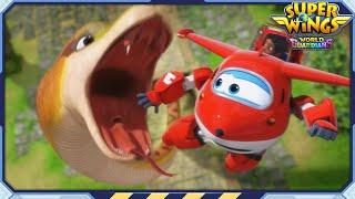 [SUPERWINGS6] Superwings S6 Full Episodes Live | Super Wings Compilation