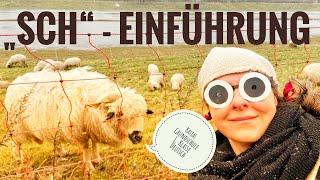 Einführung "Sch" und Schaf-Bastelanleitung - 1. Klasse Grundschule - Homeschooling für Erstklässler