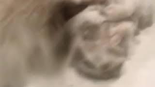 Toby & Hope WTF? (Dont Forget Subscribe our main channel) 