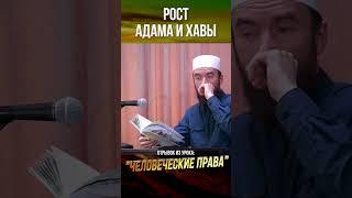 Рост Адама и Хавы