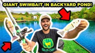 SIGHT-FISHING with GIANT SWIMBAITS in My BACKYARD POND!!!