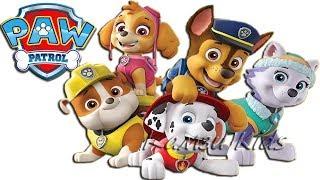 Paw Patrol: On A Roll! Rabbit rescue Щенячий патруль Камзи Kids 0+