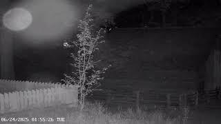 Atlanta History Center Live Goat Cam