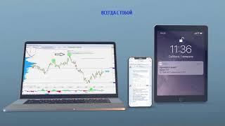 Trading Volume Terminal - платформа для комплексного анализа рынка. Подписывайся и узнавай новое