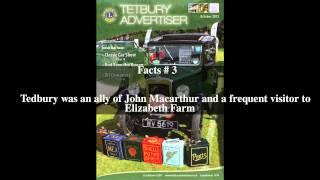 Tedbury's War Top # 5 Facts