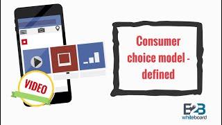 Consumer choice model - defined