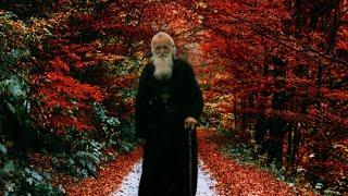 Божий человек. Старец Василий Швец.