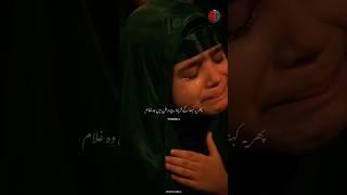 Ye ariza mere Maula ko suna kar ana #karbala #yaali #nadeemsarwar #watan #azadari #shorts #trending