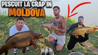 PESCUIT LA CRAP IN MOLDOVA