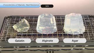 Characteristics of Alginate "Heat Resistance"