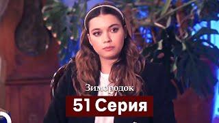 Зимородок 51 Cерия (Русский дубляж)