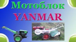 Мотоблок YANMAR YHC 800