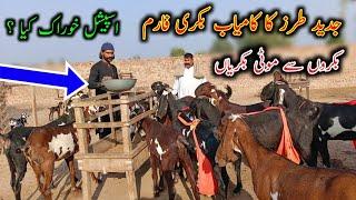 We Visited ITLAAL Goat Farm- Goat Farming Buisness in Pakistan - Gujjar Goat Farm