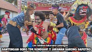 Bantengan Suro Tdk KondusifJaranan BARONG SAPUTRO Live Samben Sukorame Lamongan