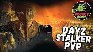 DayZ Stalker PVP "Безумие" (STALKERZ SURVIVAL EU)