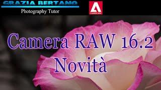 Novità Camera RAW 16.2! Geometria e Vignettatura dove sono finiti?