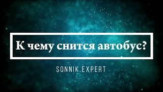 К чему снится автобус - Онлайн Сонник Эксперт