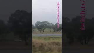 VLINE Albury Return 290325#Albury #VLINE #Victoria #Travel #Trains #WindowView