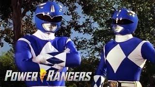 Two Blue Rangers | Mighty Morphin Power Rangers | Throwback Thursday | Power Rangers Official