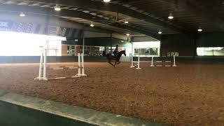 Madison Widmer Baylor Eq Camp