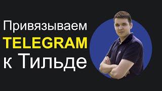 Подключаем TELEGRAM к Тильде (получать заявки и лиды с форм в мессенджеры)