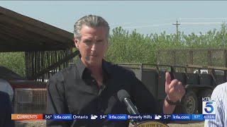 Gov. Newsom files lawsuit over Trump tariffs