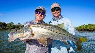 The Secret to Catching BIG SNOOK in the Florida Keys | Snook,Goliath,Sharks Everglades National Park