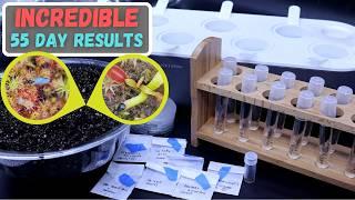 I Tried BOTH Water & Soil Germination With 200 Venus Flytrap & Sundew Seeds INSANE RESULTS!