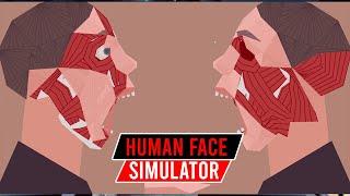 Normal Human Face Simulator