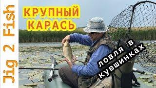 Ловля крупного карася в кувшинках!