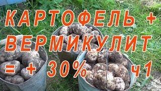 7.94 КАРТОФЕЛЬ + ВЕРМИКУЛИТ = ИТОГИ +30% ПРИРОСТ ч1*