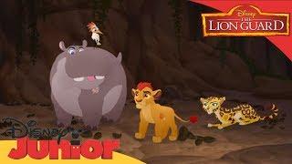 The Lion Guard | The Scorpion's Sting | Clip