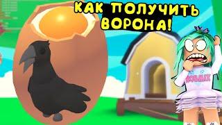 КАк получить ВОРОНА в адопт ми! Питомцы в игре adopt me roblox. Трейды на ворона в адопт ми