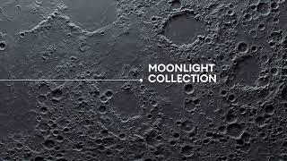 Alvic New Collections 2025 - MOONLIGHT