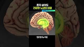노인 1인 가구의 생존 공식, 고독력