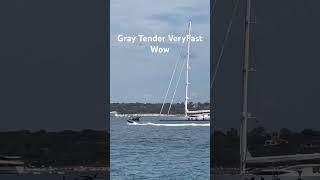 Gray Tender VeryFast #trending #viralvideo #travel #summer #season #adventure #vacation #500subs