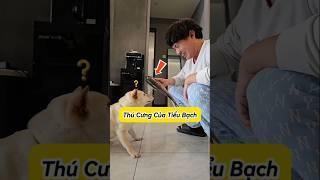  Thú cưng của Tiểu Bạch, Cá chép nướng mắm ! #emthocreview #shorts #trend #viral #hàihước #giảitrí